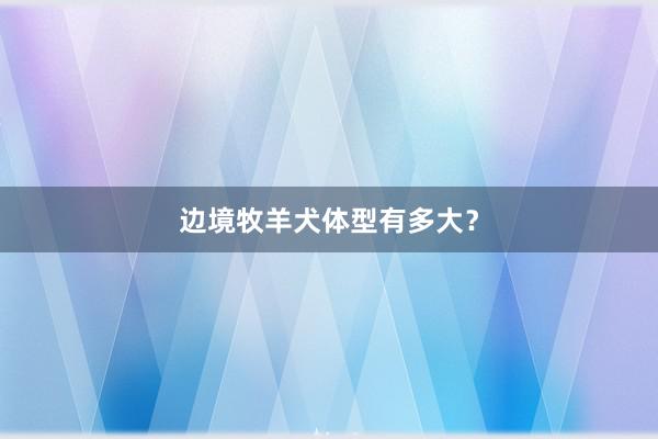 边境牧羊犬体型有多大?