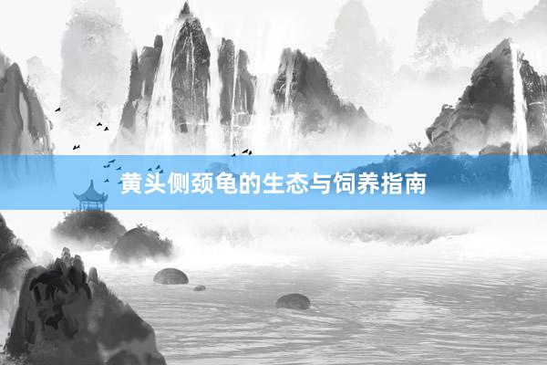 黄头侧颈龟的生态与饲养指南